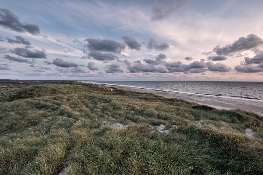 Rural farmland landscape in Jutland Denmark